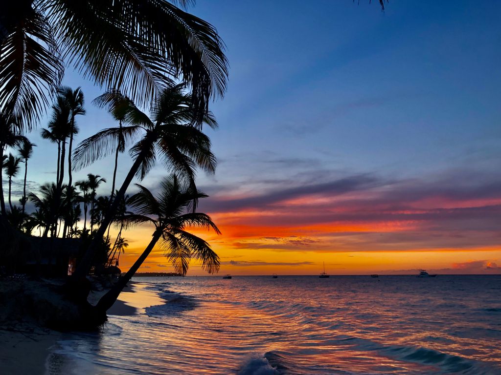 Beautiful sunset over a tropical beach in the Dominican Republic with palm trees silhouetted against the sky.