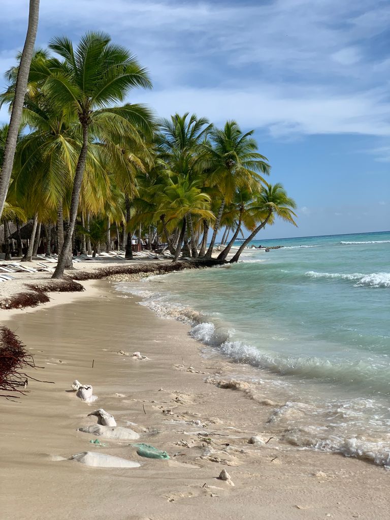 Idyllic tropical beach with palm trees and clear blue sea waves. Perfect summer escape.