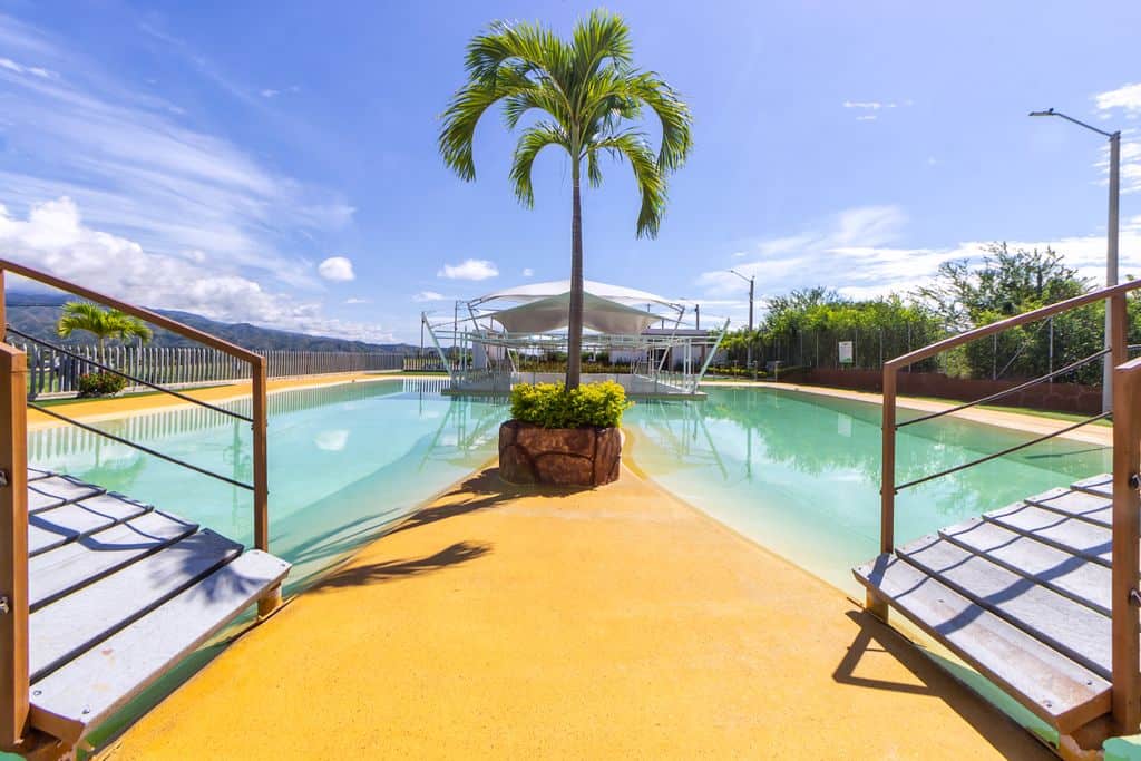 Inviting tropical resort pool featuring a palm tree under a bright clear sky.