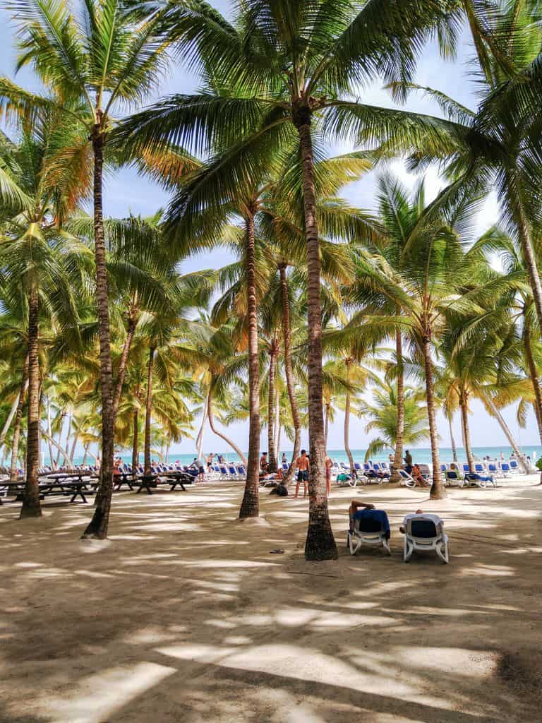 Scenic view of a tropical beach with palm trees and sun loungers in La Altagracia Province, Dominican Republic.