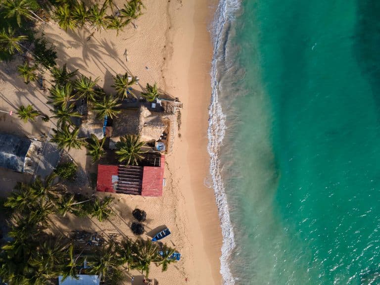 Stunning aerial shot of a secluded beach in Dominican Republic, featuring turquoise waters and palm trees.