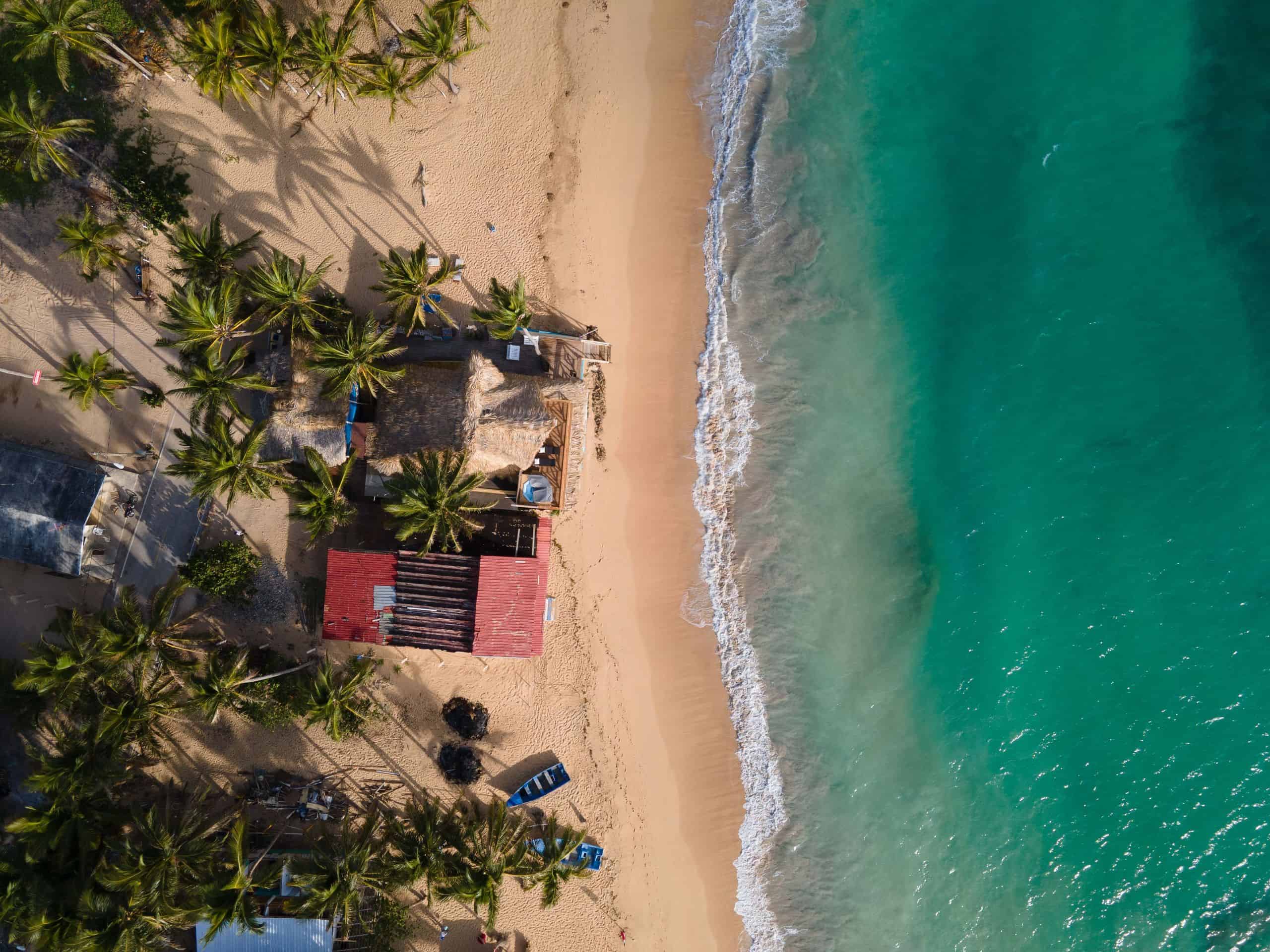 Stunning aerial shot of a secluded beach in Dominican Republic, featuring turquoise waters and palm trees.