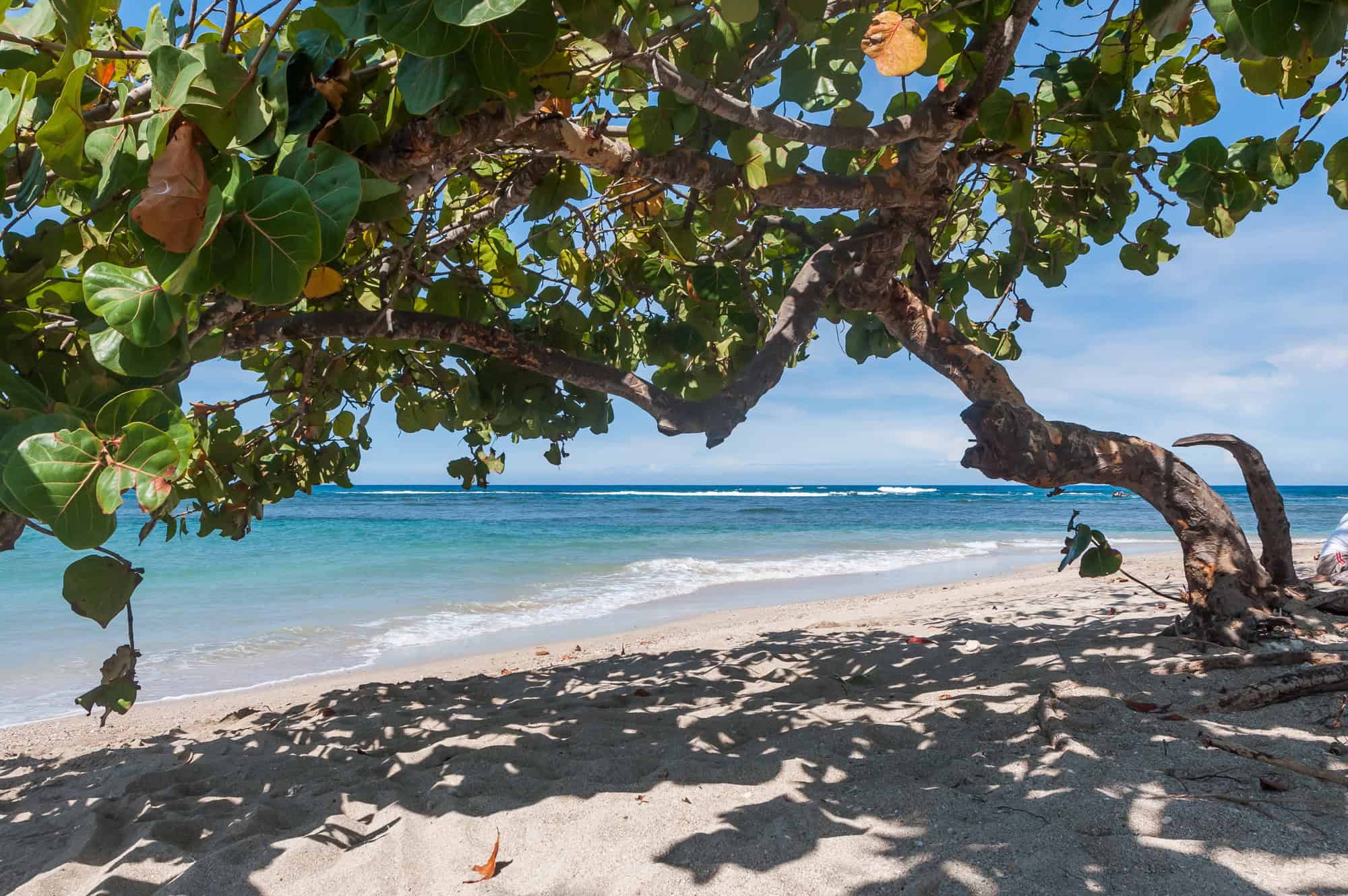 Playa Dorada beach in Puerto Plata
